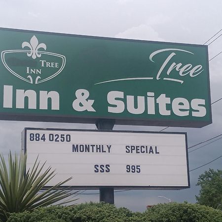 Tree Inn & Suites Albuquerque Exterior photo