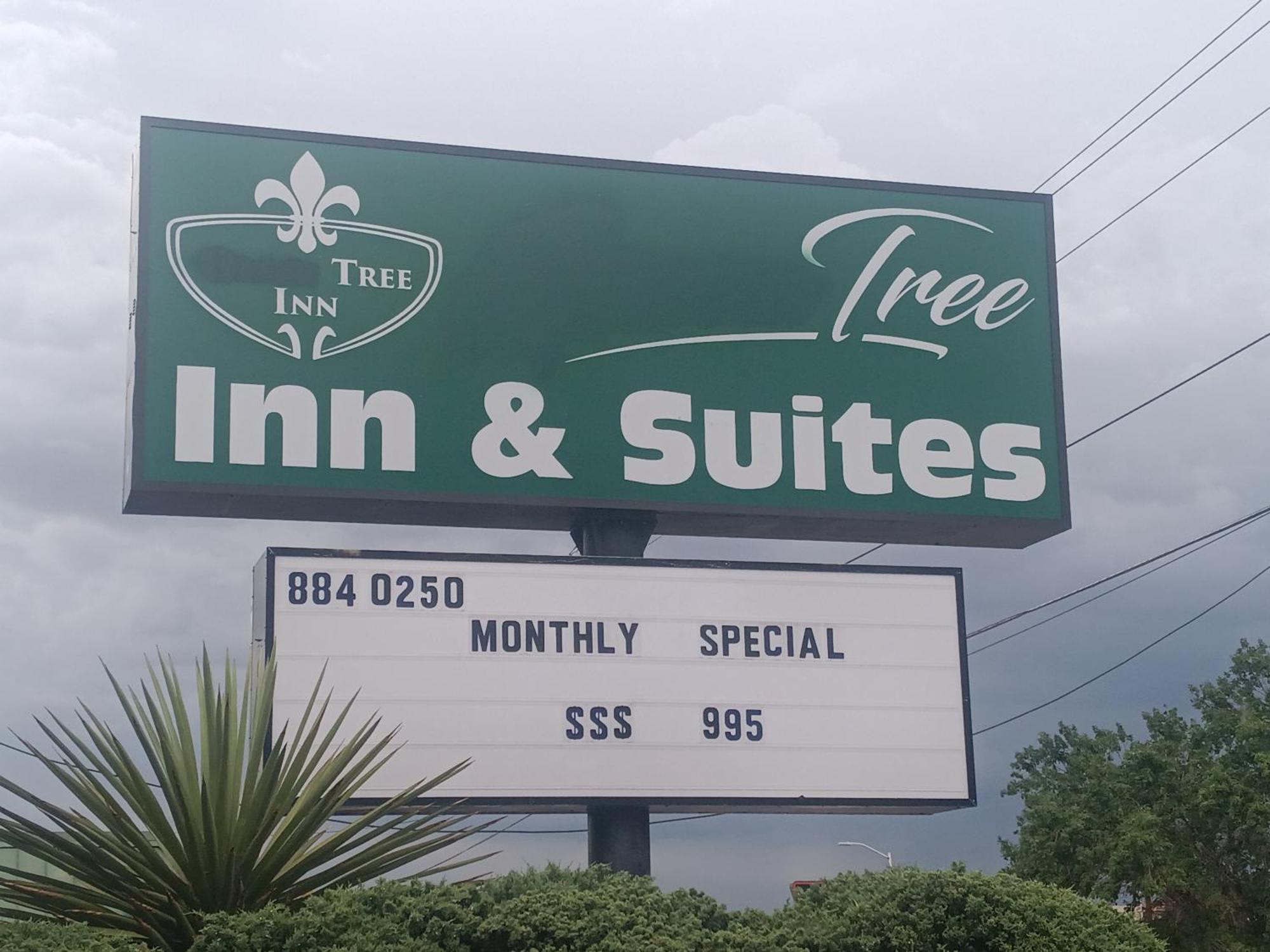 Tree Inn & Suites Albuquerque Exterior photo